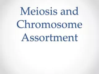 Meiosis and Chromosome Assortment