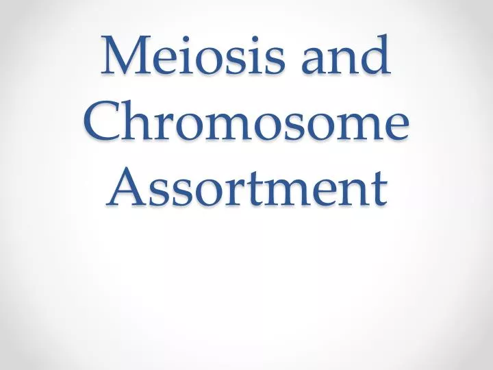 meiosis and chromosome assortment