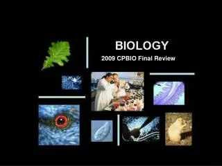 2009 CPBIO Final Review