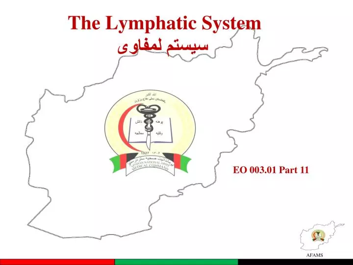 the lymphatic system