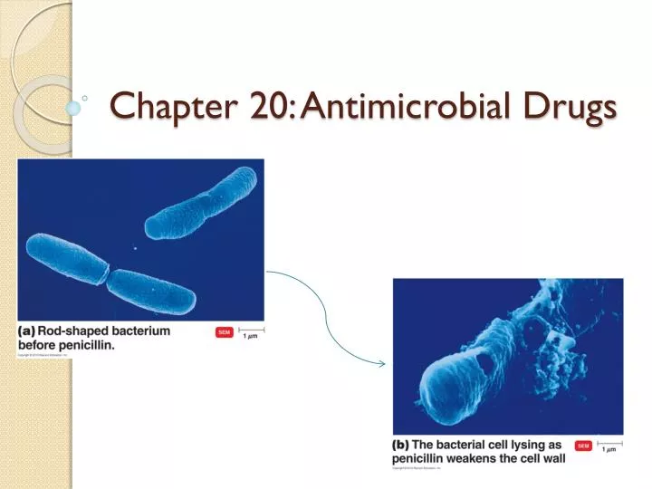chapter 20 antimicrobial drugs