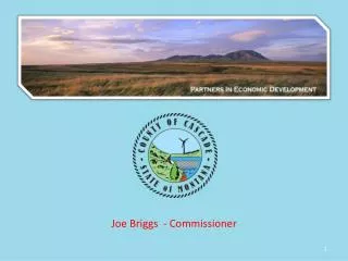 Joe Briggs - Commissioner