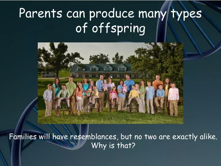 parents can produce many types of offspring