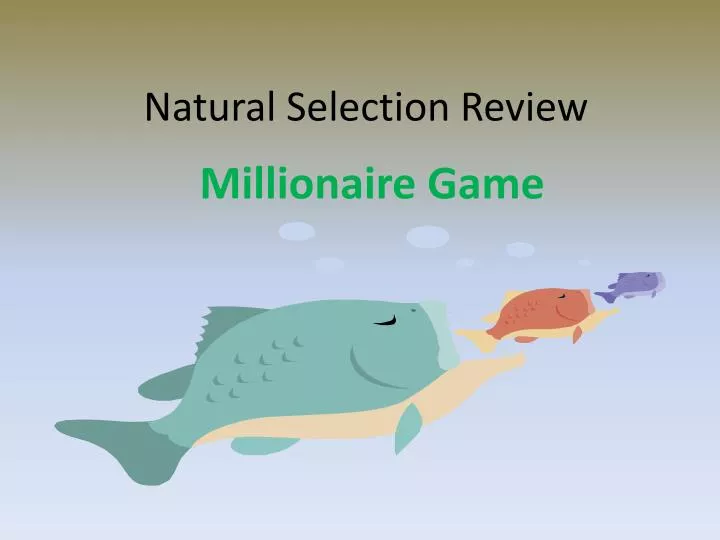 natural selection review