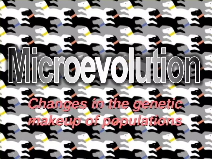 changes in the genetic makeup of populations