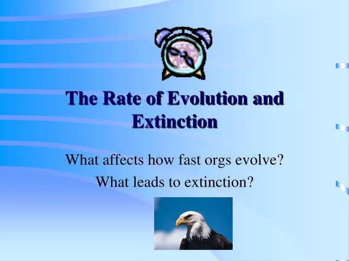 the rate of evolution and extinction