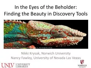 In the Eyes of the Beholder: Finding the Beauty in Discovery Tools