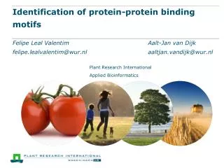 Identification of protein-protein binding motifs
