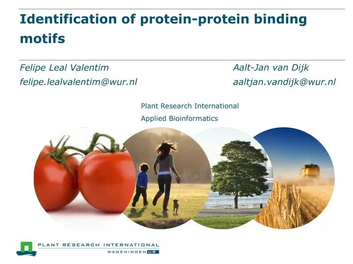 identification of protein protein binding motifs