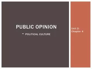 Public opinion - political culture