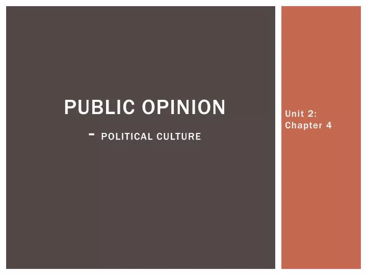 public opinion political culture
