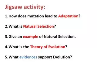 Jigsaw activity: How does mutation lead to Adaptation ? What is Natural Selection ?