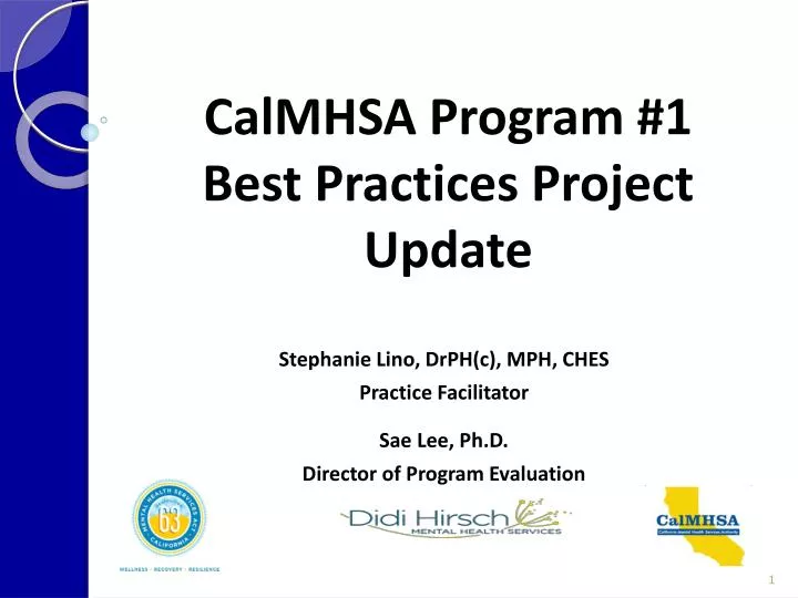 calmhsa program 1 best practices project update