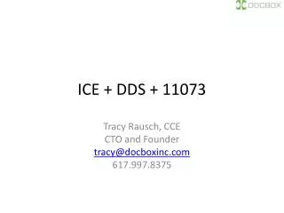 ICE + DDS + 11073