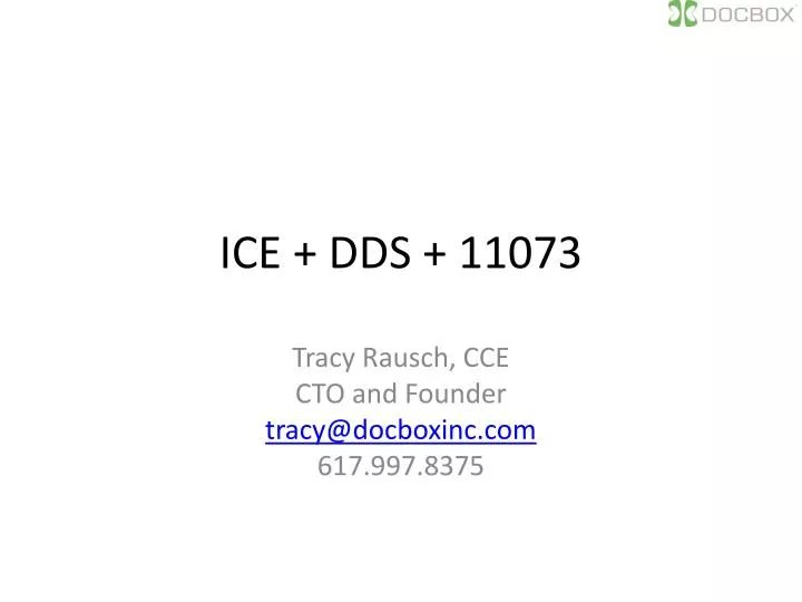 ice dds 11073