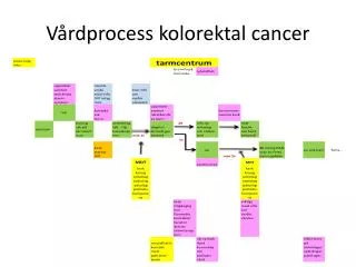 v rdprocess kolorektal cancer