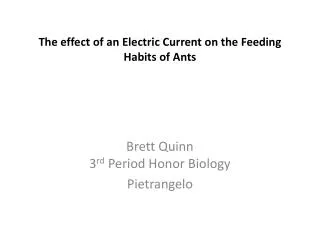 The effect of an Electric Current on the Feeding Habits of Ants