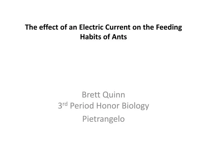 the effect of an electric current on the feeding habits of ants