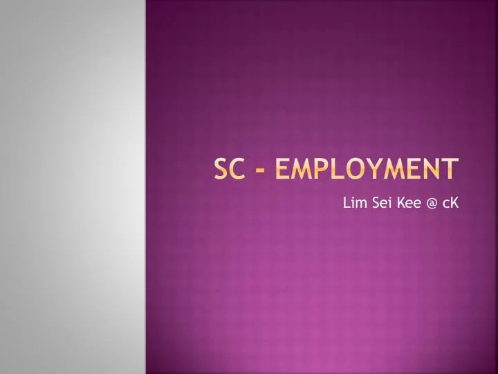 sc employment