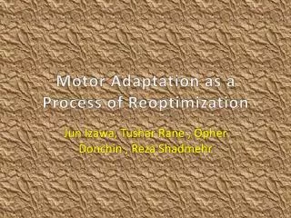 Motor Adaptation as a Process of Reoptimization