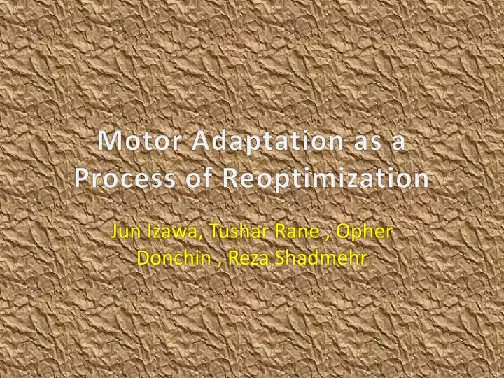 motor adaptation as a process of reoptimization