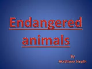 Endangered animals