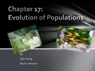 Chapter 17: Evolution of Populations