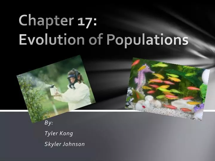 chapter 17 evolution of populations