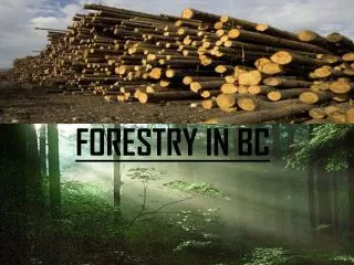 FORESTRY IN BC