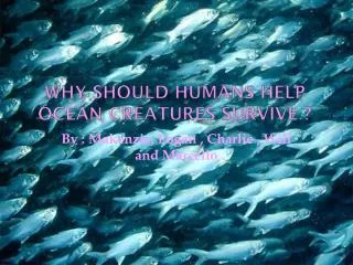 Why Should Humans Help Ocean creatures Survive ?