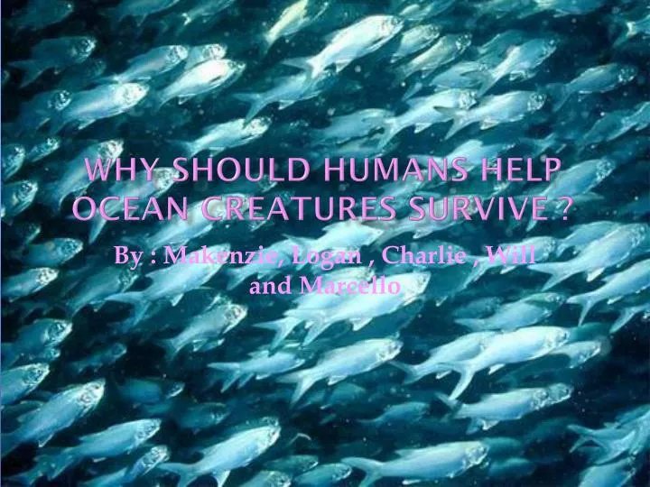 why should humans help ocean creatures survive