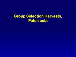 Group Selection Harvests, Patch cuts