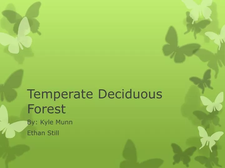 temperate deciduous forest