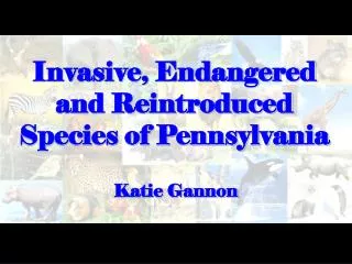 Invasive, Endangered and Reintroduced Species of Pennsylvania