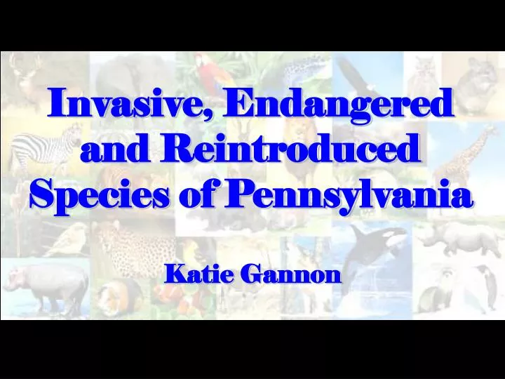 invasive endangered and reintroduced species of pennsylvania