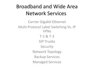 Broadband and Wide Area Network Services