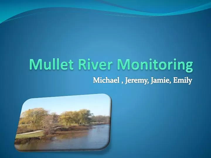 mullet river monitoring