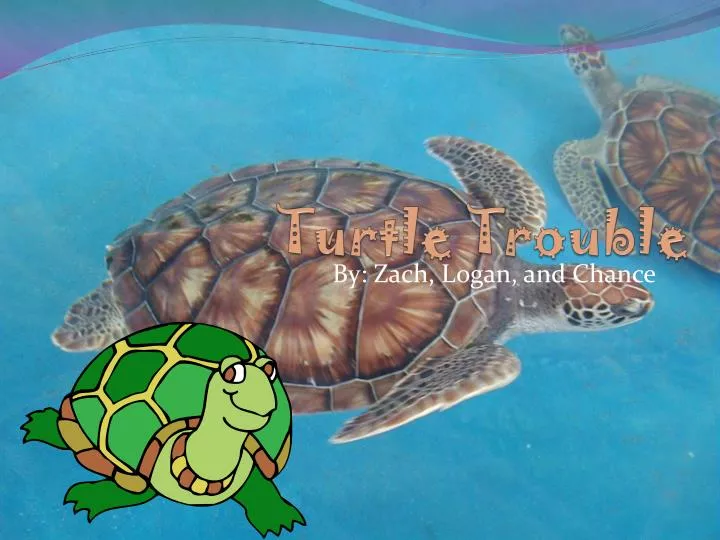 turtle trouble