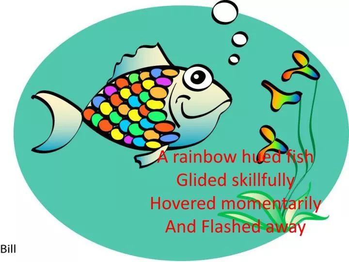a rainbow hued fish glided skillfully hovered momentarily and flashed away