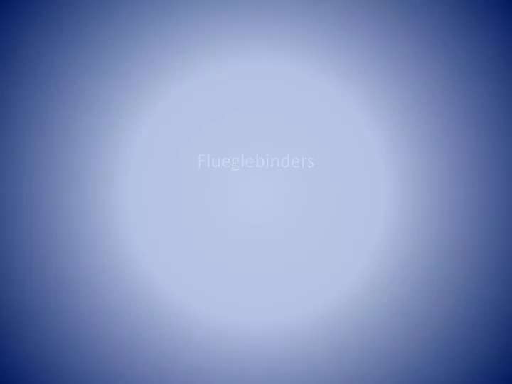 flueglebinders