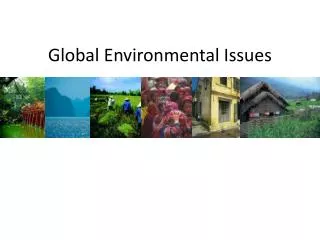 Global Environmental Issues