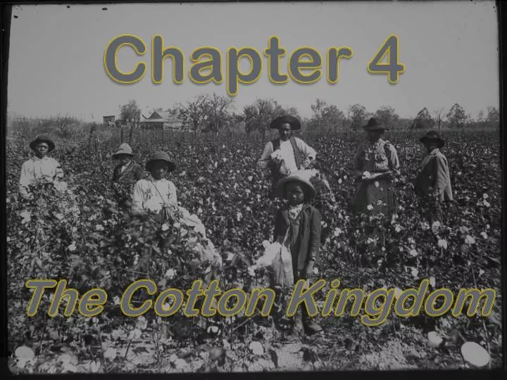 chapter 4 the cotton kingdom
