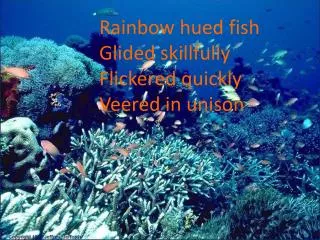 rainbow hued fish glided skillfully flickered quickly veered in unison