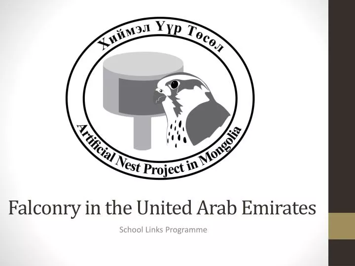 falconry in the united arab emirates