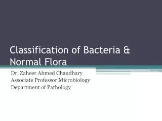 Classification of Bacteria &amp; Normal Flora