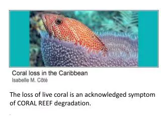 The loss of live coral is an acknowledged symptom of CORAL REEF degradation. .