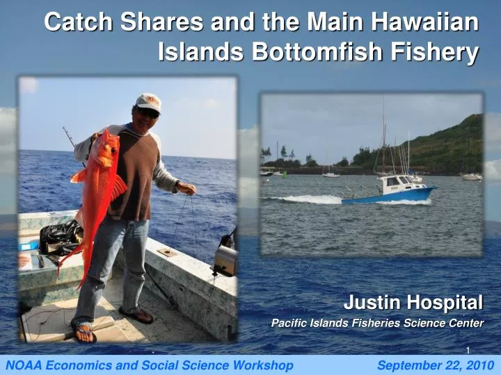 catch shares and the main hawaiian islands bottomfish fishery