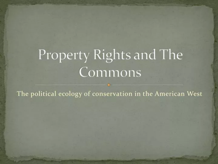 property rights and the commons