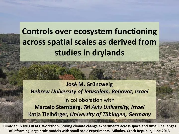 controls over ecosystem functioning across spatial scales as derived from studies in drylands
