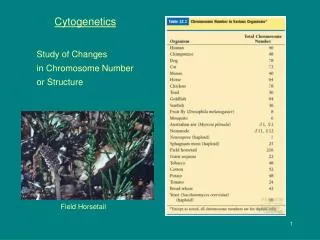 Cytogenetics